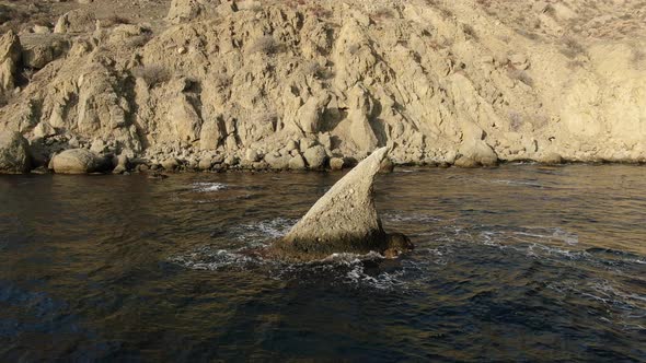 Earth Planet Nature Diversity Idea alt