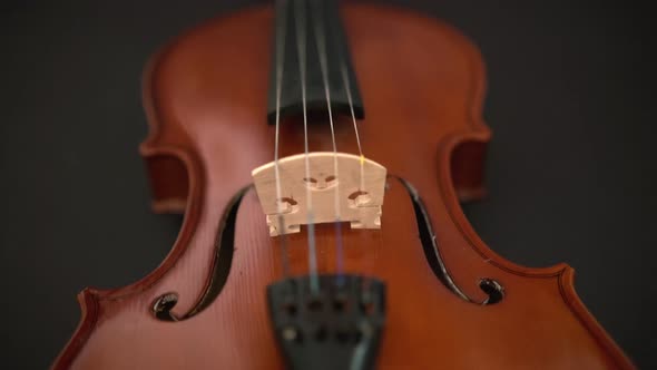 Brown Classical Violin in a Case