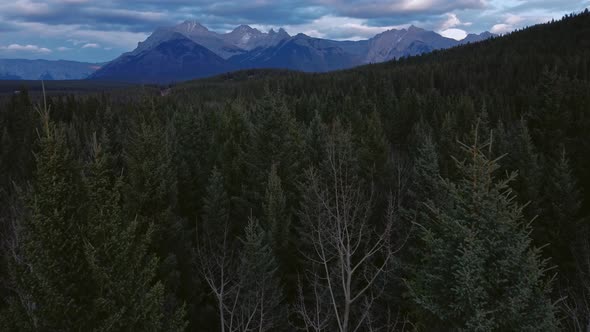 Mountain range approaching pine forest sideways close up alt