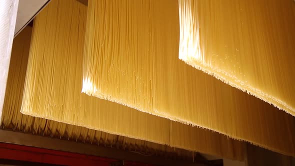 Pasta Factory and Pasta Production Stages.
