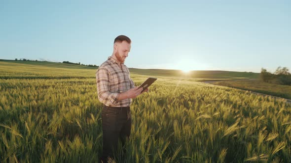 A Young Farmer is Standing in the Middle of a Wheat Field and Working on a Tablet alt
