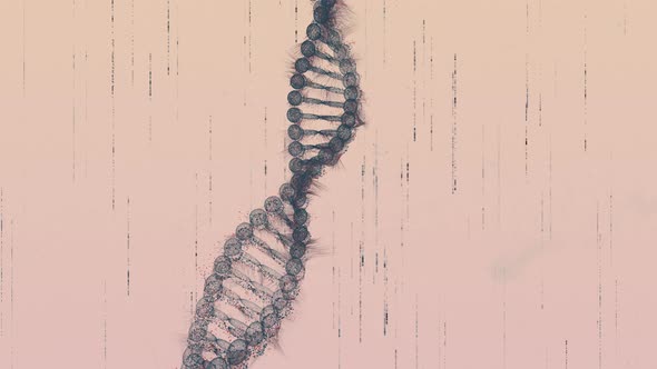 DNA Spiral X-Ray