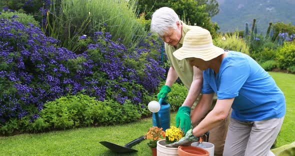 Senior couple gardening together alt