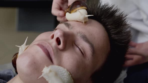 Close Beautician's Hand Applying Crawling Snails on Man's Face in Beauty Salon alt