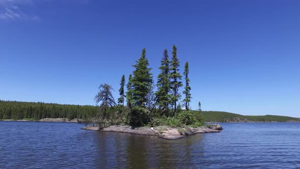 Trees on a small  island in a lake alt