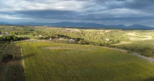 Aerial  Panoramic Shot of a Land and Houses Near Valensole France