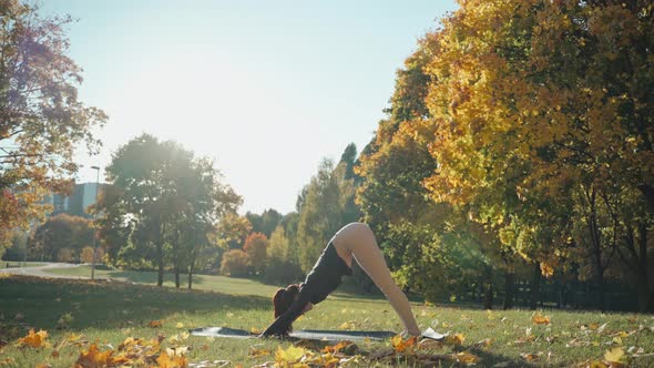 Young Woman Practices Forward and Half Folds Mountain Poses in Park on a Mat
