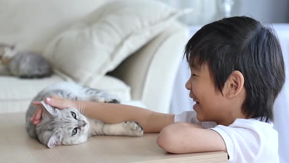 Cute Asian Child Playing With Scottish Kitten Together alt