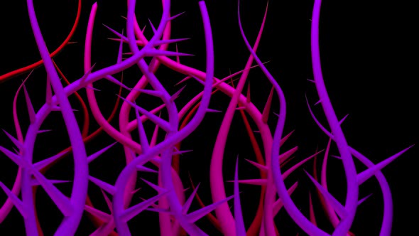 Spiny Plants Fill The Ccreen alt