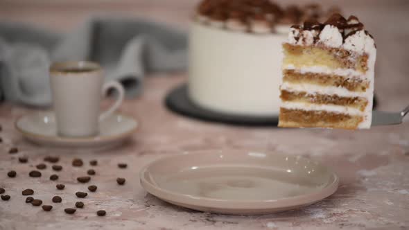A Piece Of Tiramisu Cake On A Plate