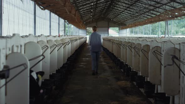 Woman Checking Cattle Shed at Countryside Rear View alt