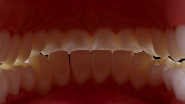 Jaws Opening Inside View  alt