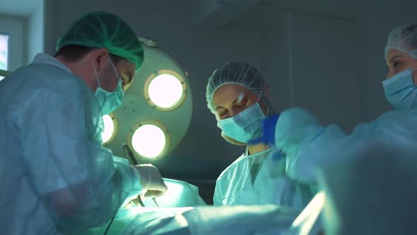 Two of Surgeons at the Work alt