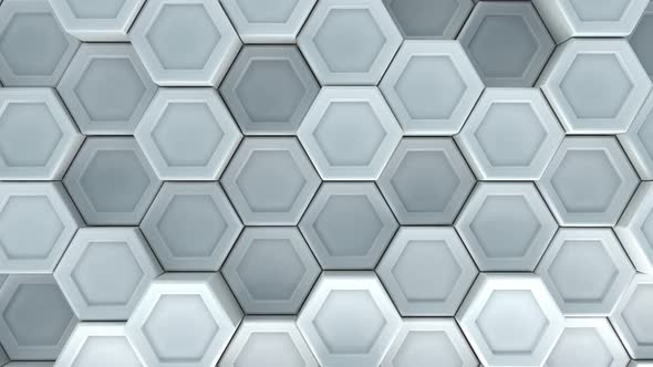 White Hexagons Background