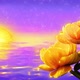 Sunset Over Ocean And Flowers - VideoHive Item for Sale