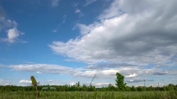 Timelapse, Clouds in blue sky, good weather, Green trees, grass in a city Park alt