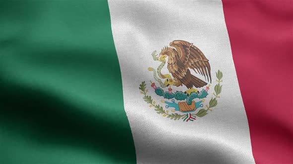Mexico Flag Seamless Closeup Waving Animation