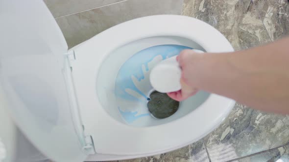 A Hand Sprays a Toilet Bowl with Blue Detergent alt