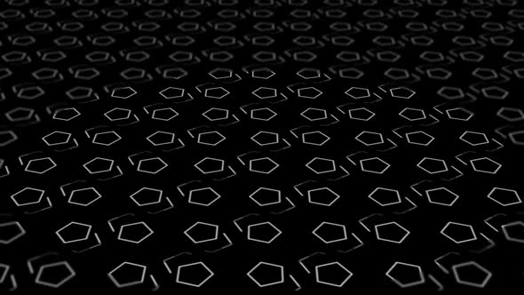 Black and White Hexagon Animated Background alt