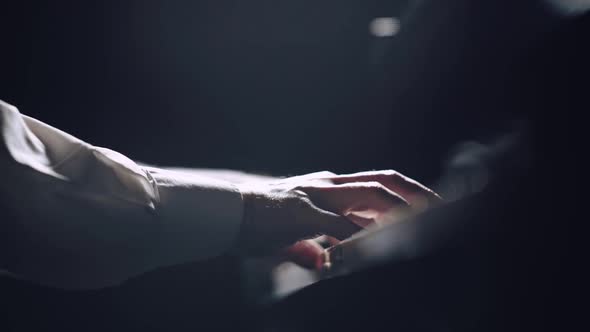 The Pianist Hands Close Up alt