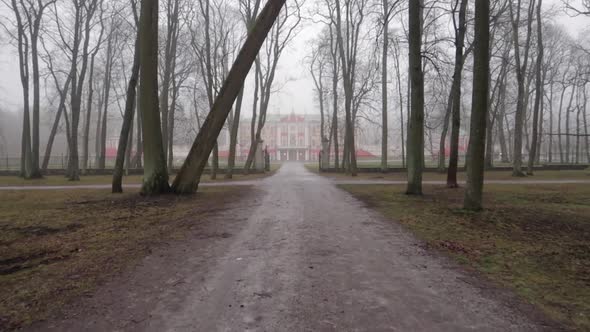 long dirt road in the forest with castle at the end with fog and bad weather alt