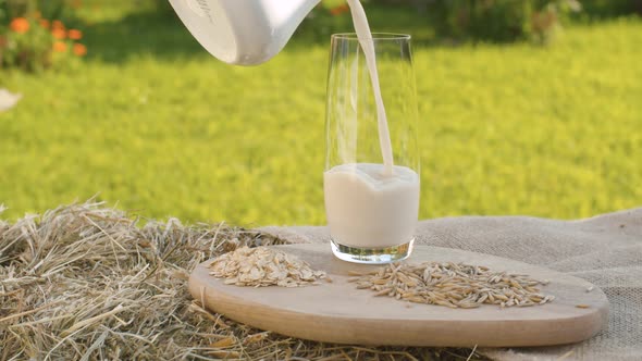 Oat Milk, Oat Grains and Oatmeal alt