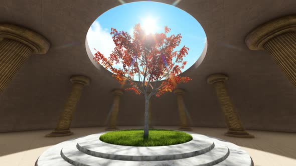 Sunny Blu Sky Over Tree alt