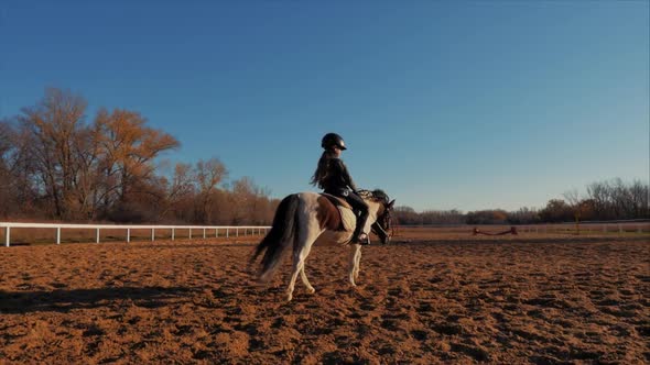 Girl Rider Rides a Horse. The Little Horse Rider on Poni Jumps Along the Epadrome. He Practices alt