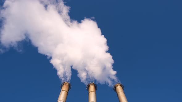 Pipe with white smoke alt