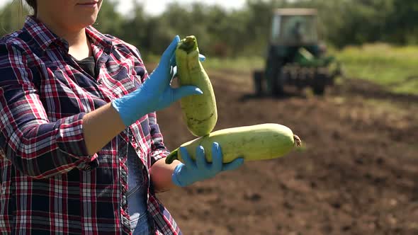 Farmer is Holding a Zucchini on the Background of a Working Tractor in the Field alt