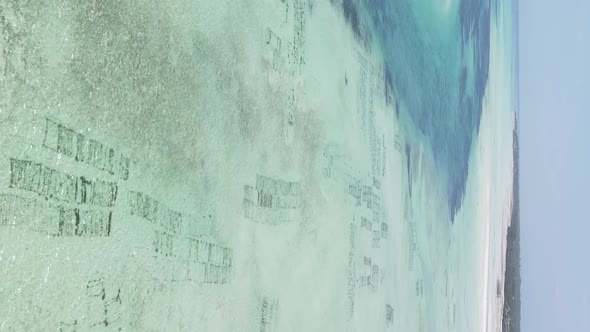 Zanzibar Tanzania  Vertical Video of Low Tide in the Ocean Near the Coast Slow Motion alt
