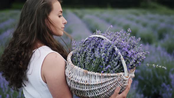 Beautiful Curly Girl Walks on a Lavender Grove in a Summer Light Dress Holds on Her Shoulders a