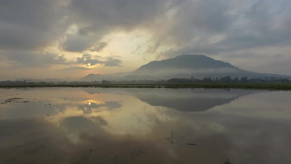 Beautiful sunrise view in paddy field with reflection Bukit Mertajam. alt