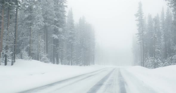 Snowy road through forest