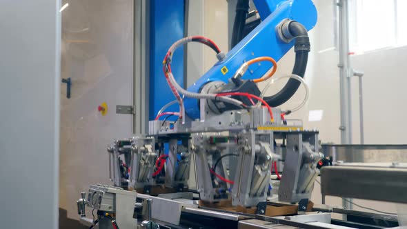 Industrial Machine Is Putting Carton Plates Onto the Conveyor alt
