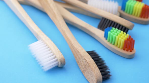 Toothbrushes on Blue Background alt