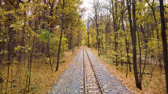 Railway line in bright yellow leaves, autumn forest