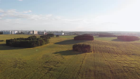 Aerial View of Agricultural Field with Beautiful Paths and Islands of Trees alt