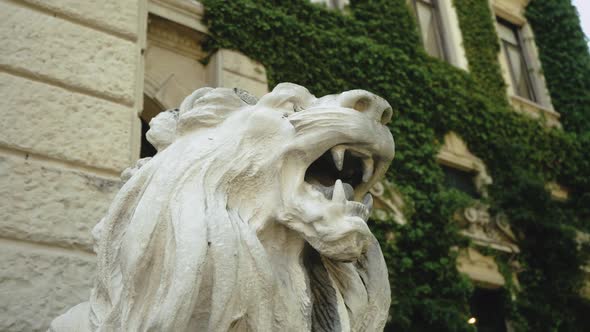 Sculpture of a Lion Closeup Shot Beautiful Building on the Background Slow Motion alt