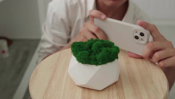Woman Take Photo on Smartphone Plaster Pot with Green Moss at Home alt