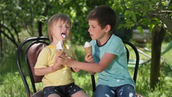 Carefree Male Kids Eat Delicious Cool Ice Cream on a Warm Summer Afternoon While Relaxing alt
