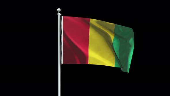 Guinea Flag Big