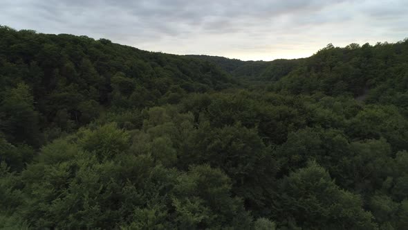 Aerial View of Forest Landscape in Southern Sweden