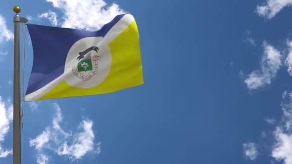 Winnipeg City Flag Manitoba (Canada) On Flagpole alt