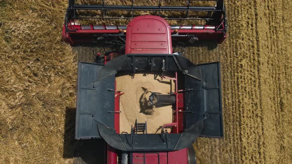Aerial View Close Up of Modern Combine Harvester Collects Ripe Wheat in Slow Motion alt