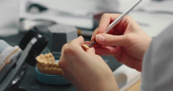 Dental Technician Woman Works with Special Tools with Plaster Models of the Jaw
