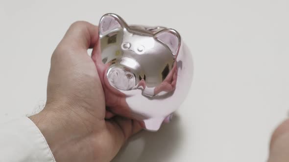 Piggy Bank Pink Pig. Investments and Business. Man and Money
