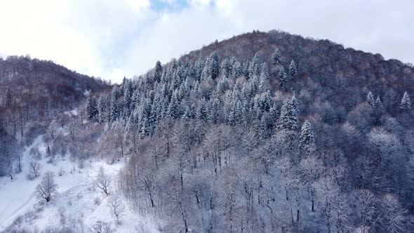 Approaching The Snowy Mountain alt