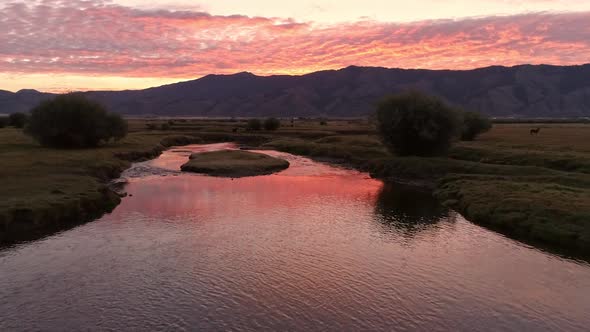 Flying over winding river at dawn as sunrise reflects in water alt