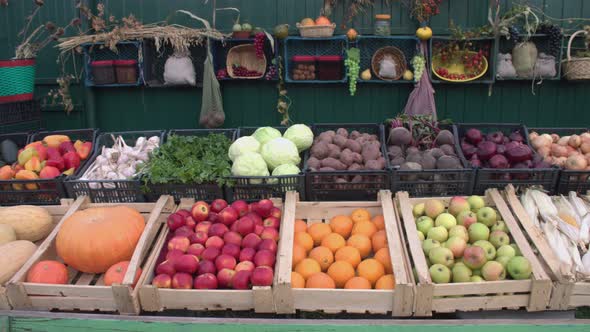 Vegetables and Fruits on the Market Counter. alt